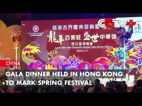 Video: Gala Dinner Held in Hong Kong to Mark Spring Festival