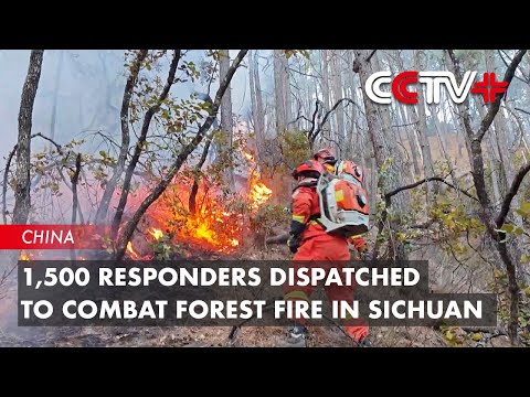 Video: 1,500 Responders Dispatched to Combat Forest Fire in Sichuan