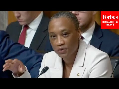Video: Laphonza Butler Grills Postmaster General Louis DeJoy About Voters Getting Mail-In Ballots On Time