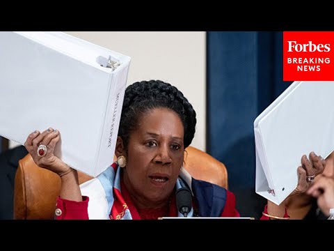 Video: ‘There’s A Fine Line’: Sheila Jackson Lee Pushes For Further Protections For The Free Press