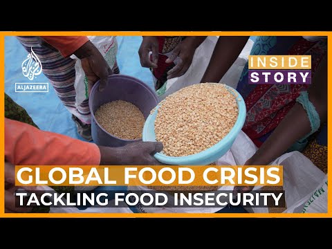 Video: How can we reduce global food insecurity? | Inside Story