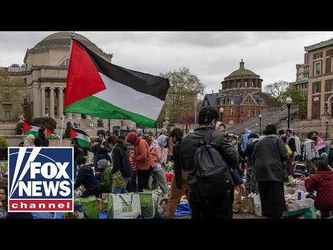 Video: ‘The Five’ reacts to chaotic anti-Israel protests