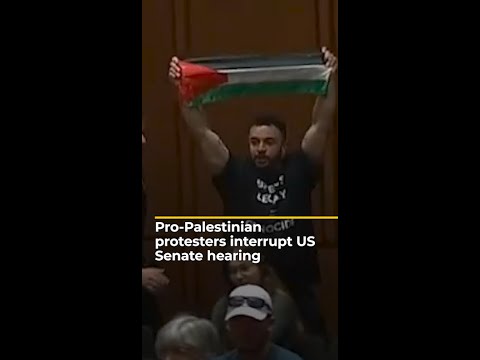Video: US protesters call to defund Israel’s Gaza war during budget hearing | AJ #shorts