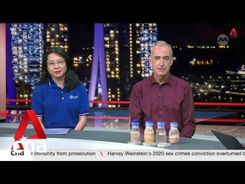 Video: Singapore scientists replace fish feed with microbial protein extracted from soybean wastewater