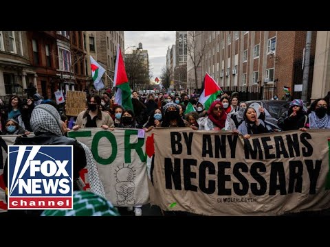 Video: ‘Fox & Friends’ reveals groups, funding behind anti-Israel protests