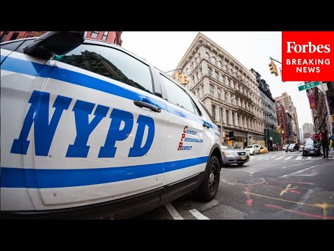 Video: NYC Public Defender: The Police Commissioner Has A Financial Incentive To Say ‘Our City Is Unsafe’