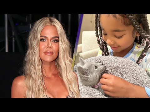 Video: Khloé Kardashian Welcomes New Family Addition