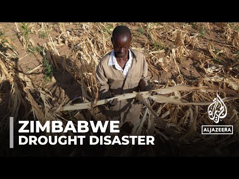 Video: Zimbabwe drought: Government declares state of emergency