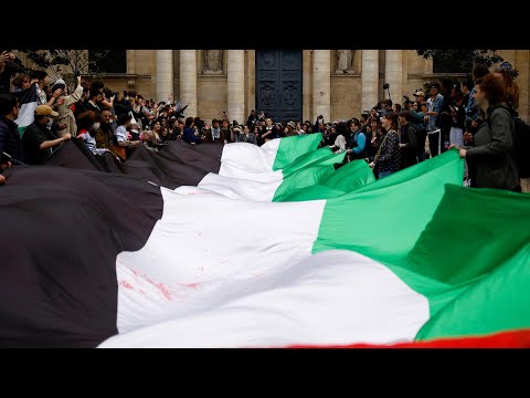 Video: Sorbonne students show solidarity with protests for Palestine | Al Jazeera Newsfeed