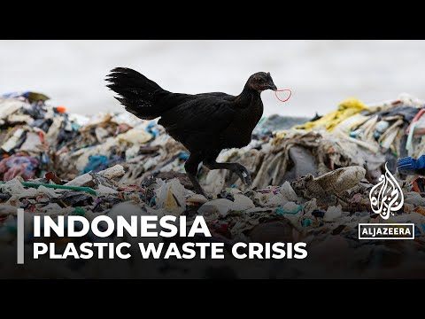 Video: Indonesia grapples with plastic waste crisis amid global UN plastic treaty talks