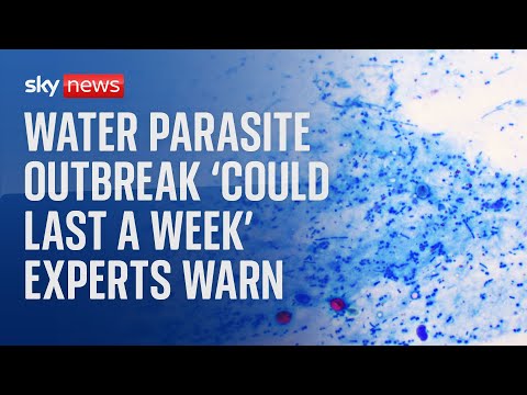 Video: Water parasite outbreak ‘could last a week’ expert warns