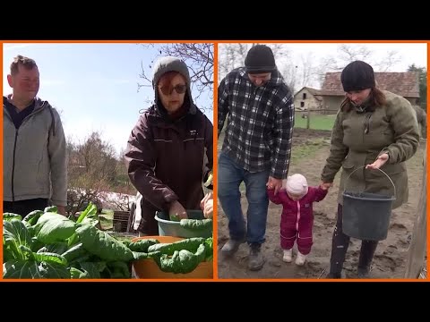 Video: Why more Hungarian families choose to live sustainably | REUTERS