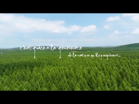 Video: Pourquoi la Chine peut-elle transformer une terre sablonneuse en forêt d’exception ?