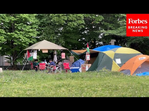 Video: Students At The University Of Tokyo Set Up Tents On Campus In Solidarity With Palestine