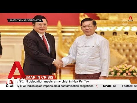Video: ASEAN delegation meets Myanmar army chief in Nay Pyi Taw