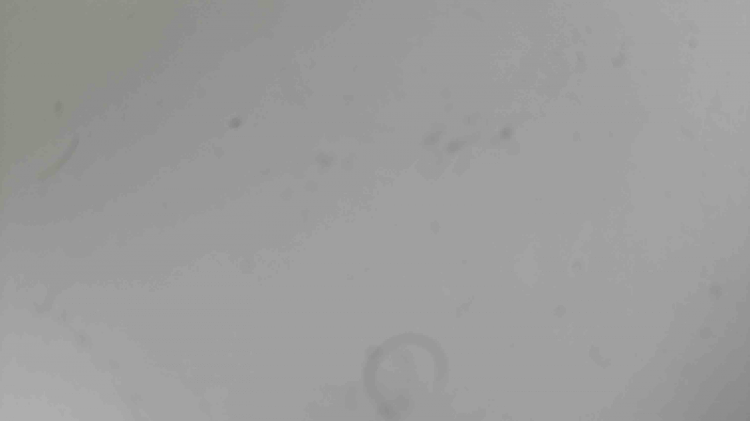 🔴 WATCH LIVE NOW | Test