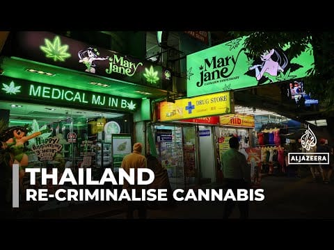 Video: Thailand moves to re-criminalise cannabis in blow to $1bn industry