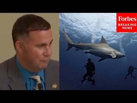 Video:  Darren Soto Discusses Shark Feeding And Wildlife Protection