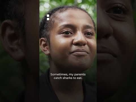 Video: Indonesia: Saving leopard sharks from extinction | 101 East #shorts