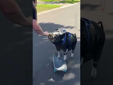 video