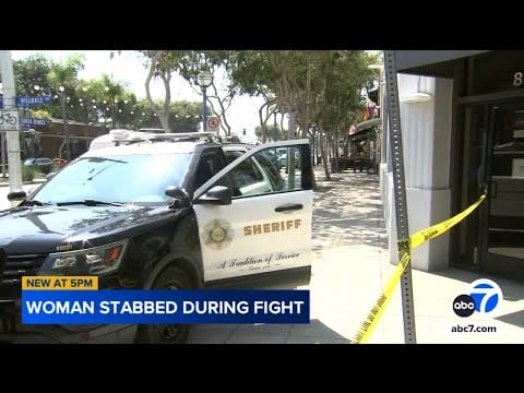 Video:  Woman stabbed during fight involving large group of people, deputies say