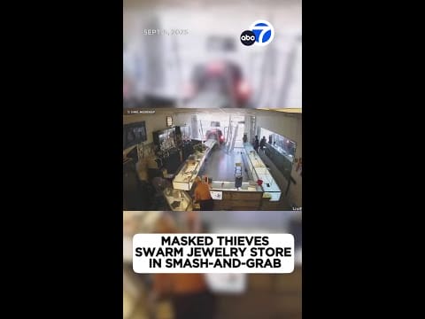 Video:  88-year-old jewelry store owner assaulted during brazen smash-and-grab heist