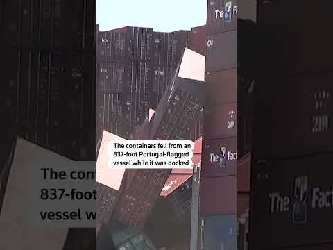 Video: Dozens of shipping containers tumble into water at California port | REUTERS
