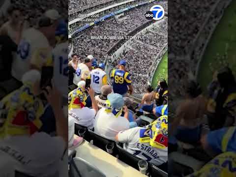 Video:  Video shows Texans fan bloodied after brawl with Rams fans at SoFi Stadium