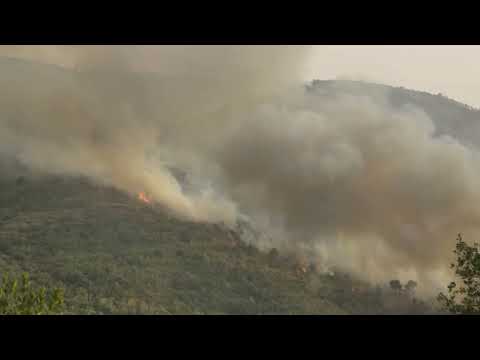 Video: Iberian wildfires more likely to recur due to climate change | REUTERS