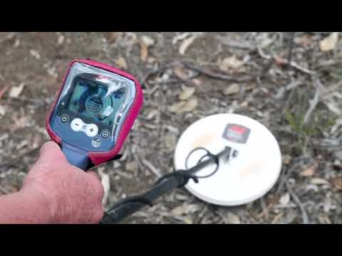 Video: Soaring prices spur new generation of Australian gold hunters | REUTERS