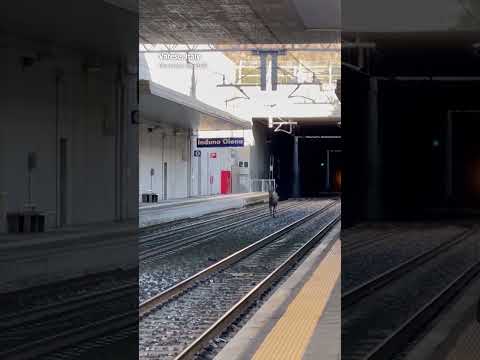 Video: Deer spotted on Italian train tracks