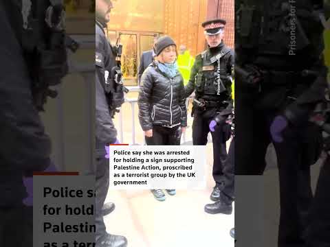 Video: Greta Thunberg arrested at pro-Palestinian protest in London